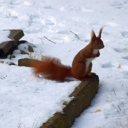 Am Wald * Biesenthal