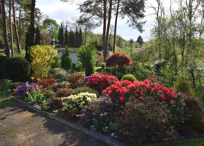 Am Wald * Biesenthal